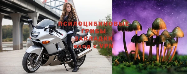 ECSTASY Волосово