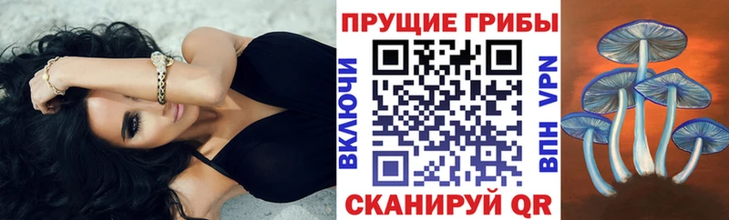 Купить где  Гаджиево  Галлюциногенные грибы мухоморы 